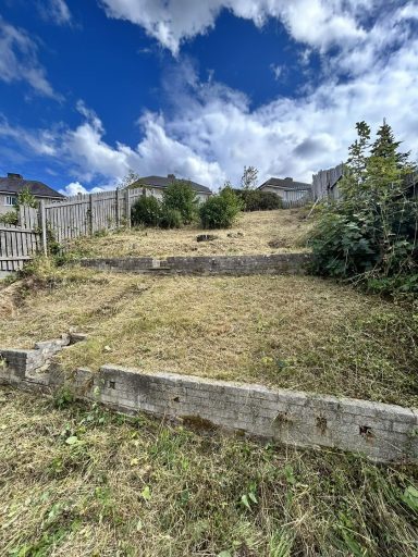 Overgrown Garden Before